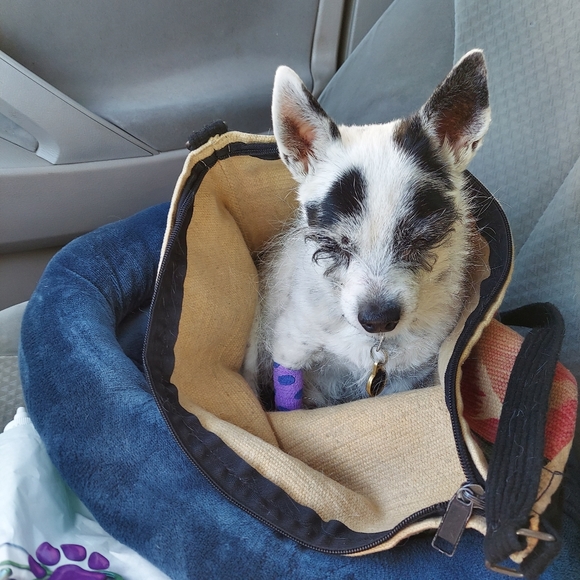 Rest In Peace - Picture 11 of 13